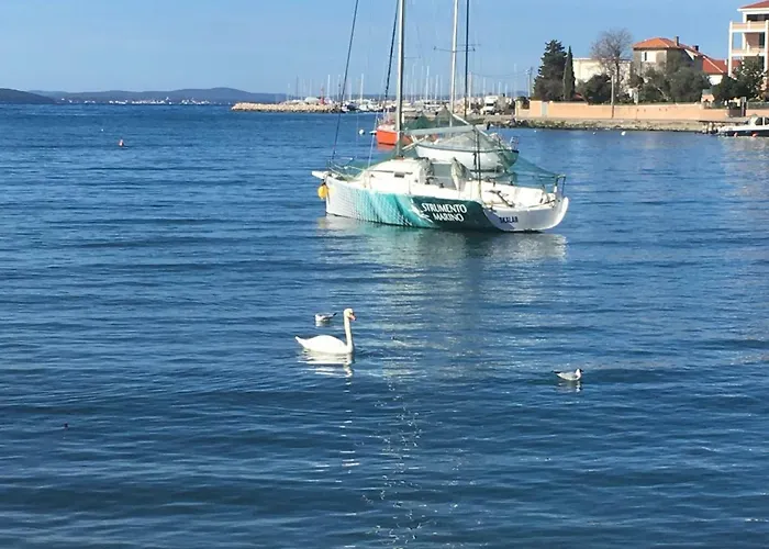 Croatian Apartament *