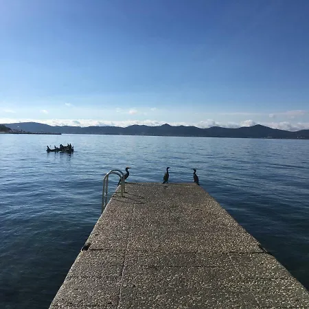 Croatian