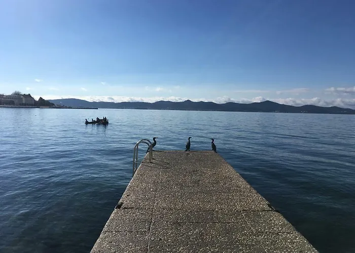 Croatian